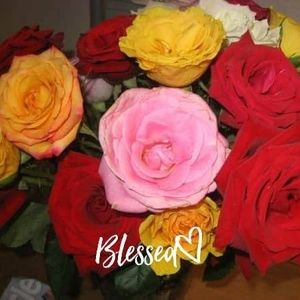 Meet your Posher, Carol